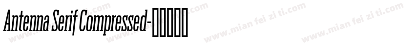 Antenna Serif Compressed字体转换